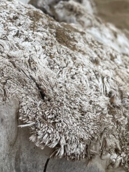 n_ceramics, handmade in zurich by Nadia Graf